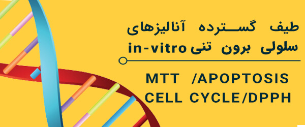 آنالیزهای سلولی برون تنی in-vitro