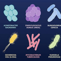 bacterial-id