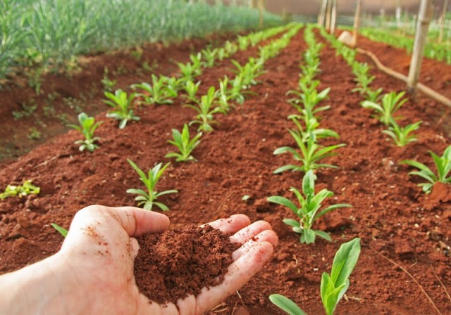 آنالیز خاک در مهندسی کشاوری
